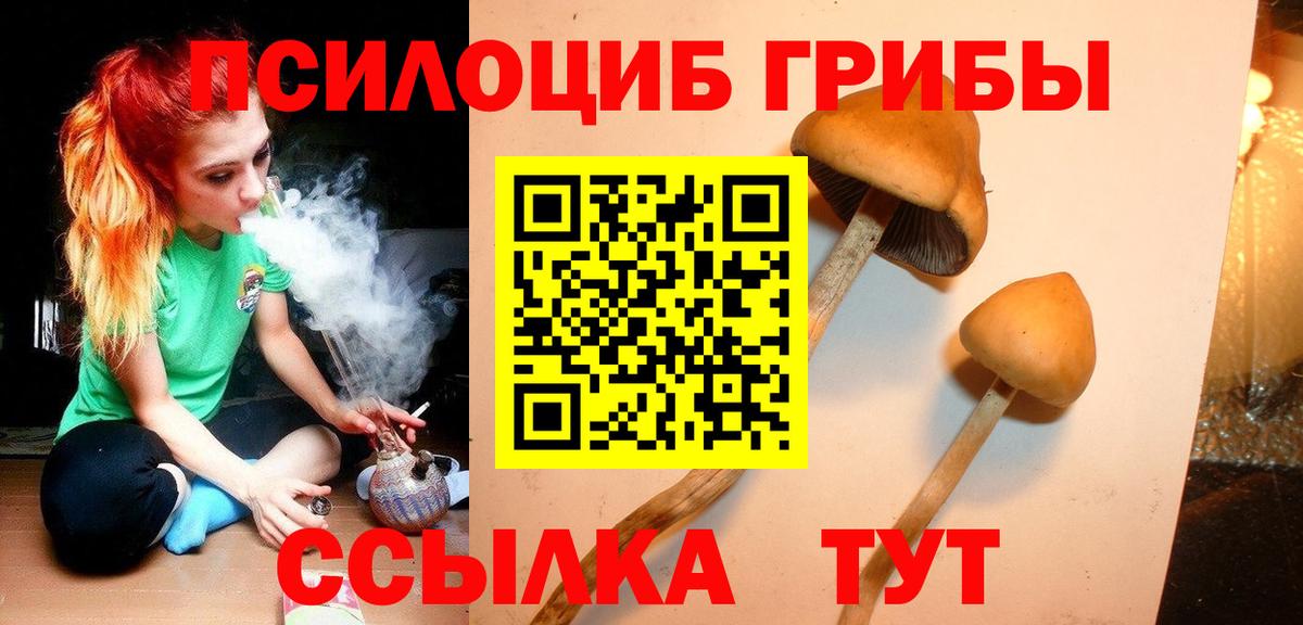 Псилоцибиновые грибы ЛСД Егорьевск