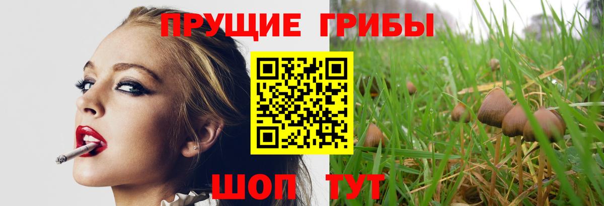 Галлюциногенные грибы Psilocybine cubensis  Вход с VPN  Егорьевск 